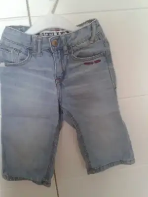 213.webp