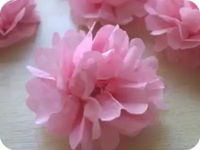 $tissue flowers 2.webp