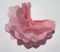 $tissue flowers 9.webp