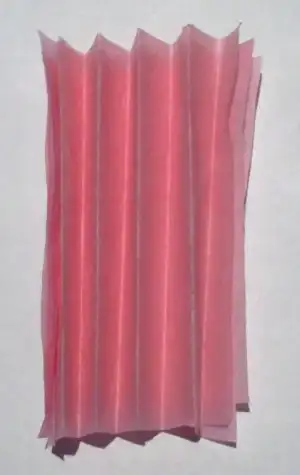 $tissue flowers 5.webp