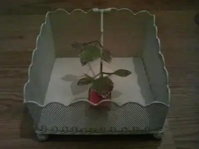 10626665_10204085425488440_6260473726698418246_n.webp