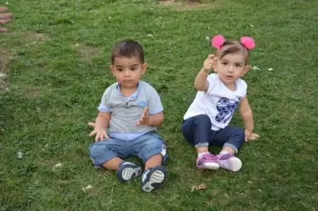 image.webp