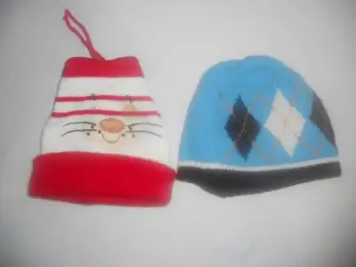 DSCN6183.webp