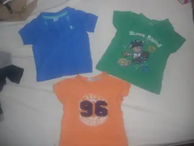 DSCN6206.webp