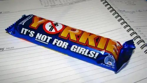 $yorkie-not-for-girls-thm1.webp