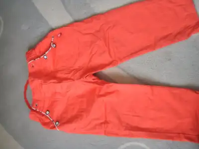 PA010978.webp