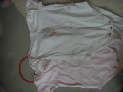 PA010984.webp