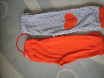 PA010972.webp