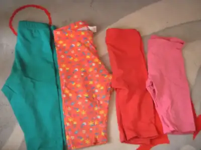 PA010985.webp