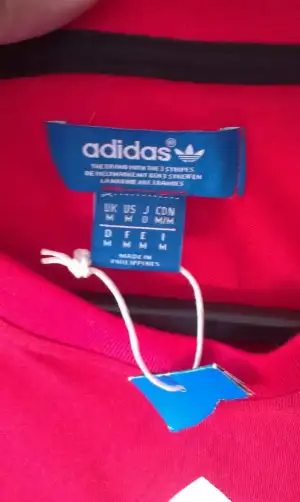 IMAG1158.webp