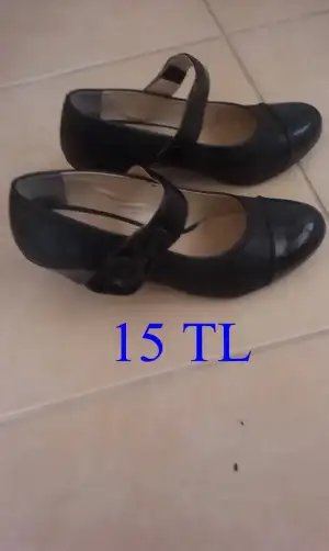 IMAG1154.webp