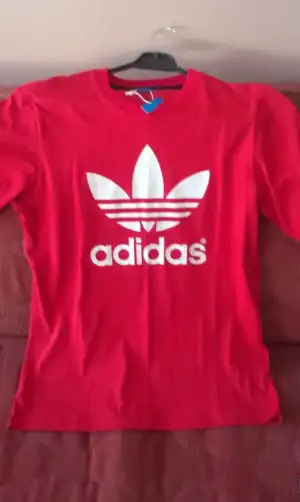 IMAG1157.webp