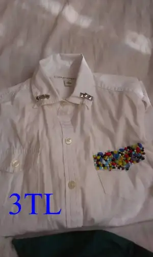 IMAG1134.webp