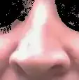 upload_2015-10-8_9-21-45.webp