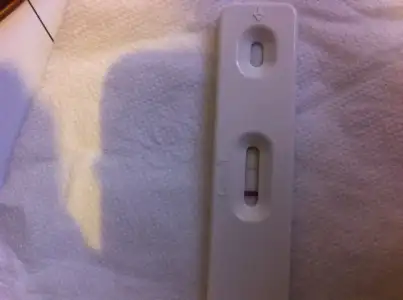 image.webp