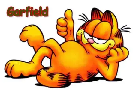 $garfield.webp
