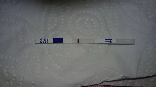 20141129_112129.webp