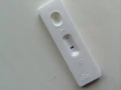 image.webp
