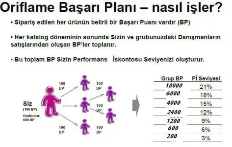 oriflamebasariplani.webp