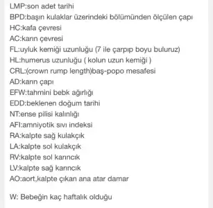 ultrason açıklaması.webp