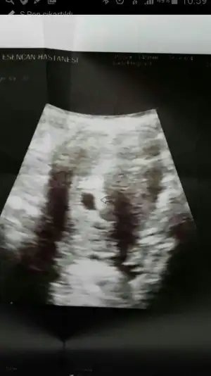 Screenshot_2015-10-13-10-59-28.webp