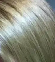 $xxxx.webp $xxxx.webp