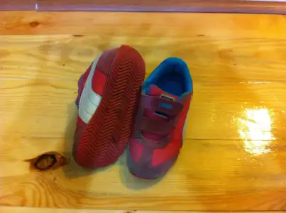 puma-2.webp