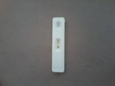 14331714695861902387885.webp