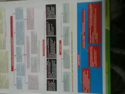 20151025_115031.webp