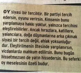 11.webp