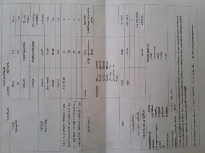 2015-10-26 11.46.28.webp