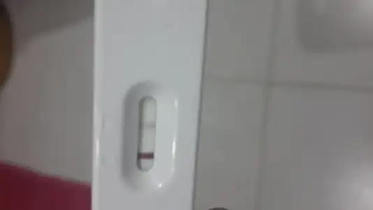 20151029_115222.webp