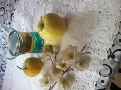 image.webp image.webp