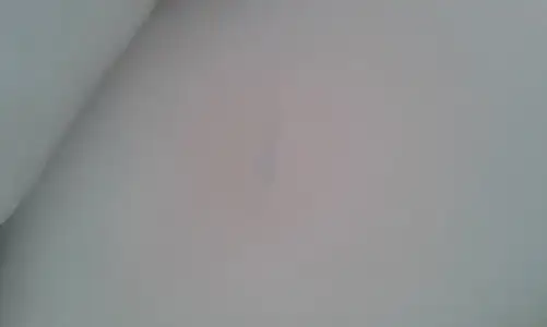 1446211331969-1753564892.webp