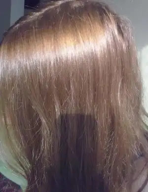 $21092011070.webp $21092011070.webp