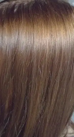 $21092011079.webp $21092011079.webp