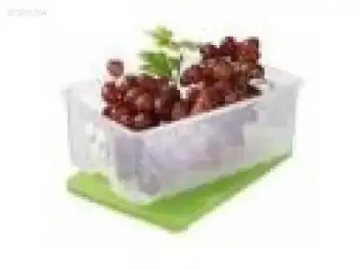 $25851094yj9.webp