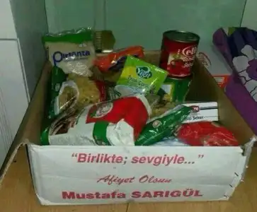 sarigul_2637.webp