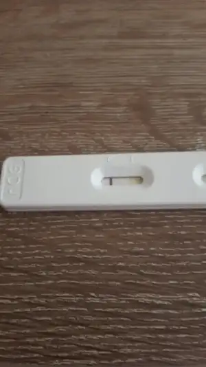 2015-11-04 12.51.29.webp