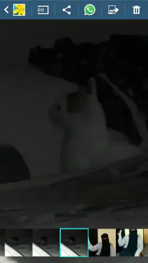 Screenshot_2015-11-05-01-46-27.webp