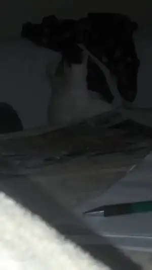 Screenshot_2015-11-05-01-46-21.webp