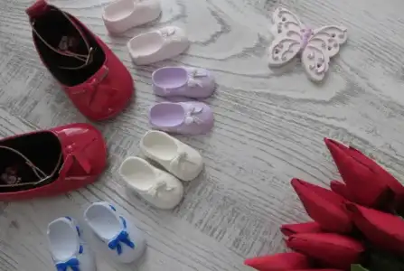 Pabuc_04-600x403.webp