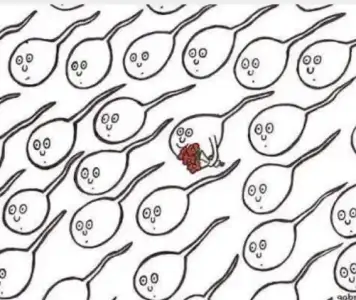 2015-11-07 15.35.12.webp