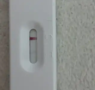 2015-11-07 22.28.01.webp