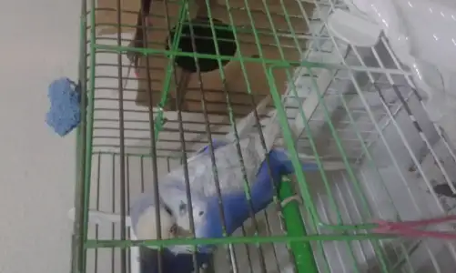 20151109_194737.webp