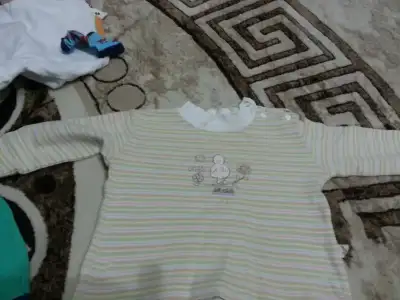 23.webp