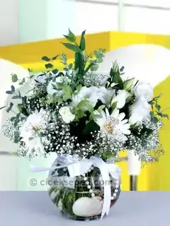 $akvaryumda-gerbera-gul-mevsim-cicekleri.webp $akvaryumda-gerbera-gul-mevsim-cicekleri.webp