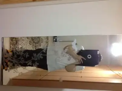 image.webp