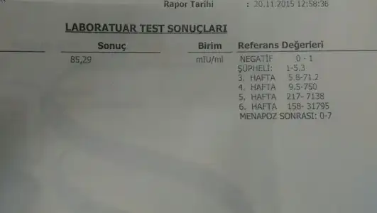 IMAG8413_1.webp