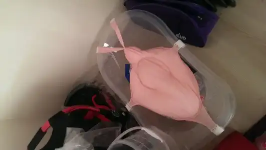 IMAG1286.webp